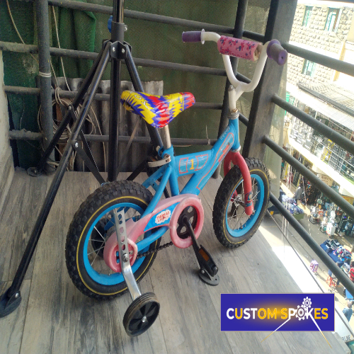 Size 12 (BLUE) Kids Bike