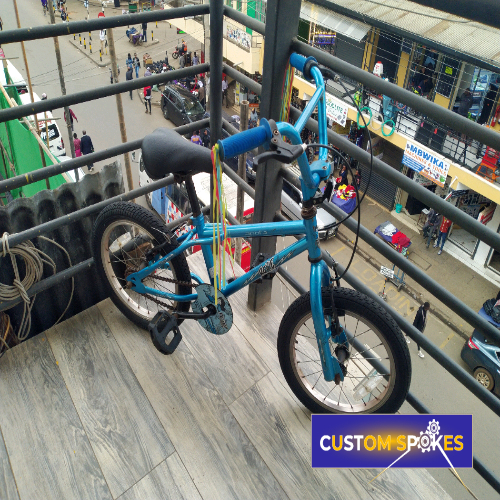 Roxie Apollo 16 Kids Bike