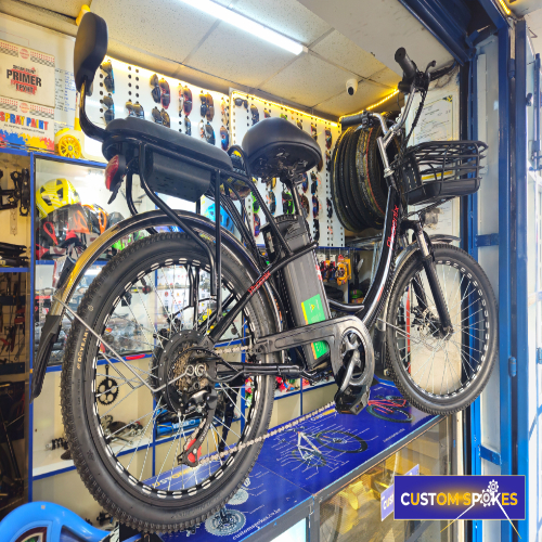 Size 22 Phoenix Electric Bike